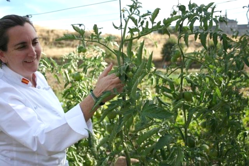 El Qüenco de Pepa o la absoluta perfección del producto