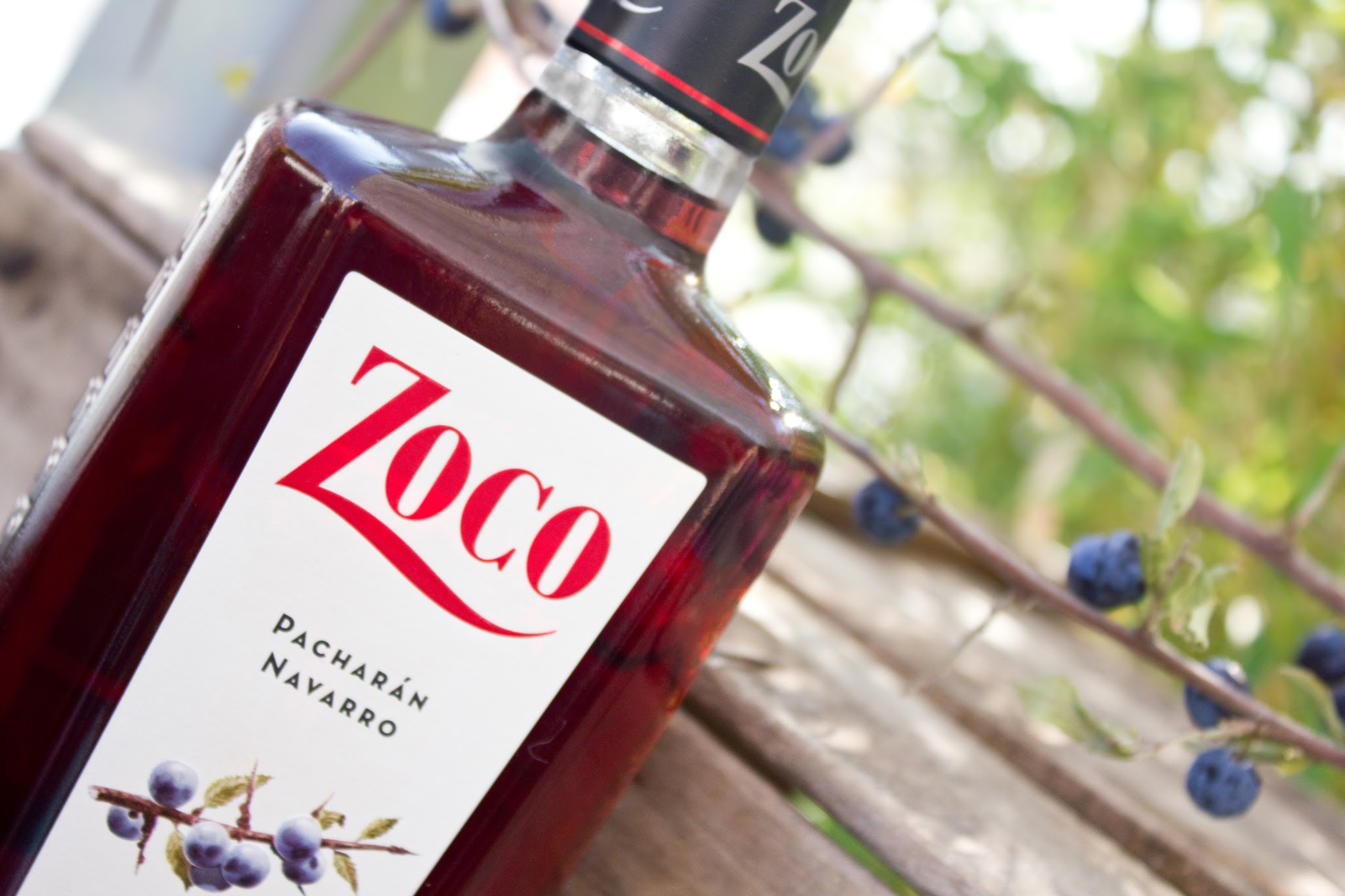 ZOCO RENUEVA IMAGEN Y BOTELLA Y LA PRESENTA EN UN TXOKO CONTEMPORÁNEO SIN PRECEDENTES
