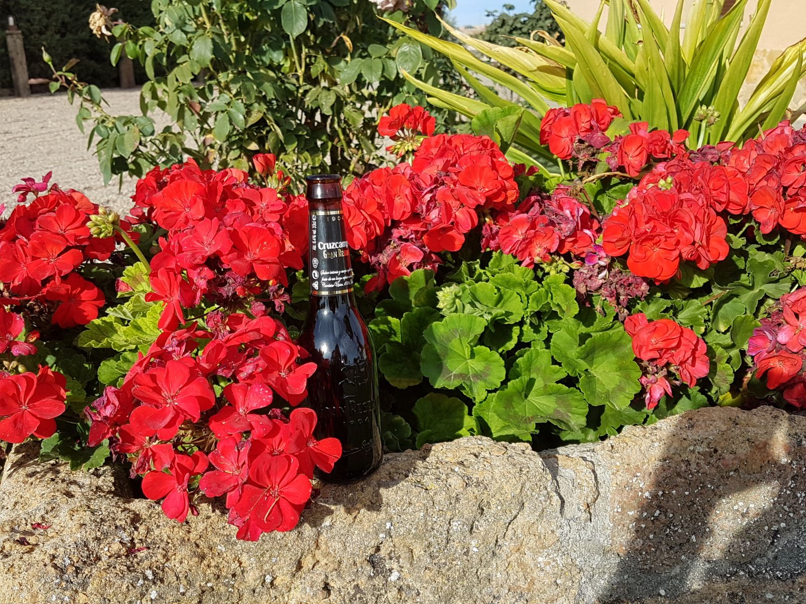 Cruzcampo Gran Reserva, la deliciosa dualidad del otoño