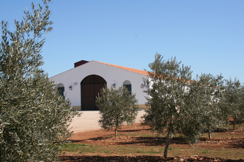 5 errores comunes en el uso del AOVE