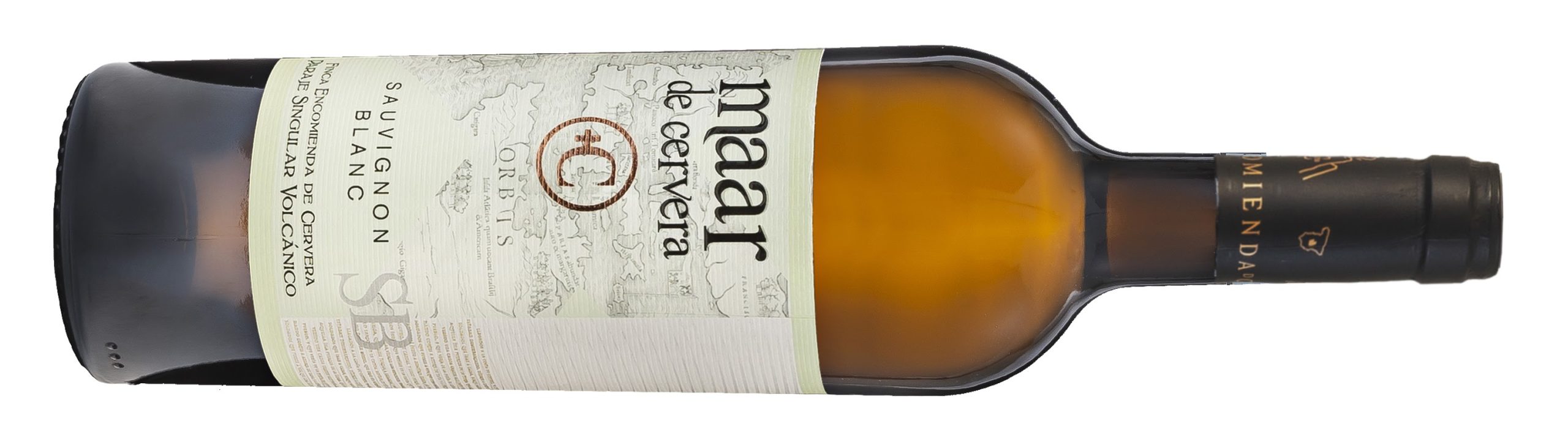 MAAR DE CERVERA SAUVIGNON BLANC, ESTILO BORDELÉS CON VULCANISMO PURO EN ALMAGRO