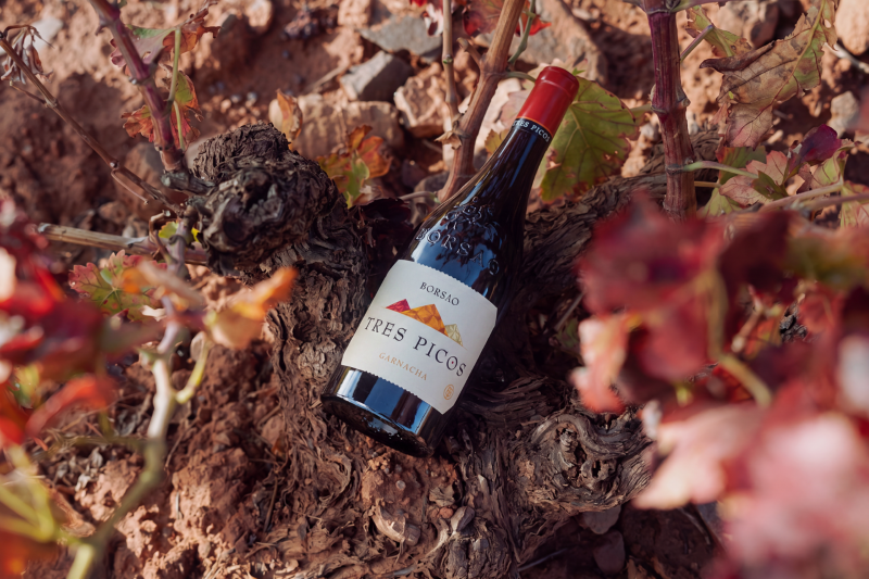 El Legado de los Tres Picos: 25 Años del Vino que Conquistó el Mundo con Sello Aragonés